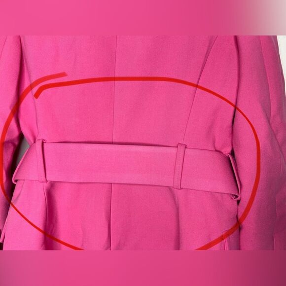 Zara Pink Blogger Favorite Barbiecore Belted Frock Coat Size Medium - Picture 11 of 16